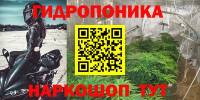сатива Донецк