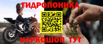 дмт Донской