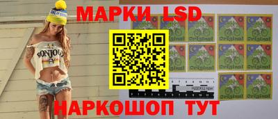 дмт Донской